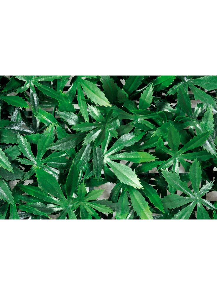 Verdemax 5639 50 x 50 cm Jamaica Squares Hedge