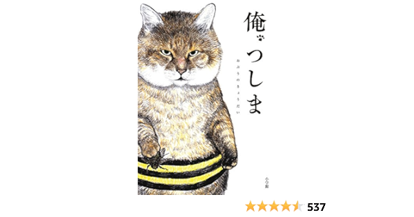 中商原版 我 萌猫 日文原版 俺 つしま おぷうのきょうだい 小学馆 日本漫画 单行本 精装 Apr 26 18 おぷうの きょうだい Amazon Com Books