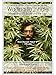 Waiting to Inhale: Marijuana, Medicine and the Law