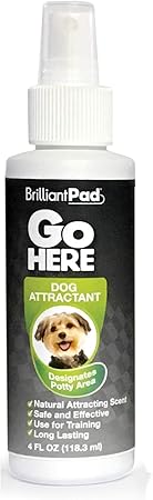 brilliant pad dog potty