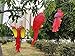 S&F Life Size Hanging Parrot Statue Like a Real Parrot Patio Lawn Ideal Decor for Nature Lovers Tropical Bird Collectors (Wings)