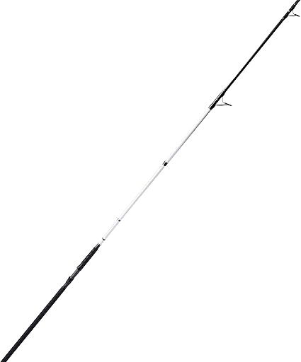 team daiwa surf rod