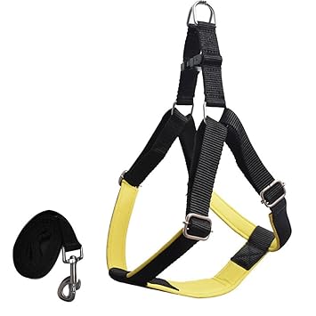 Pawzone Durable & Adjustable Yellow Body Harness with Leash for Dogs(3/4 Inch)