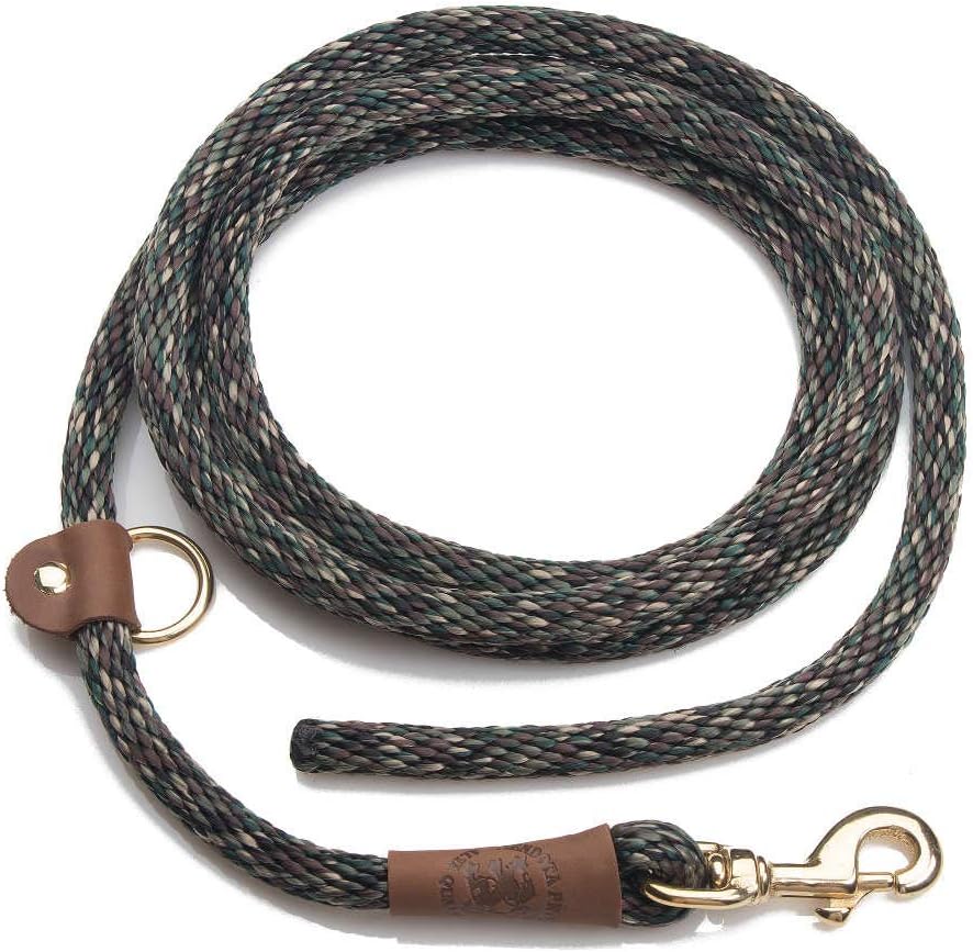 ez lead dog leash