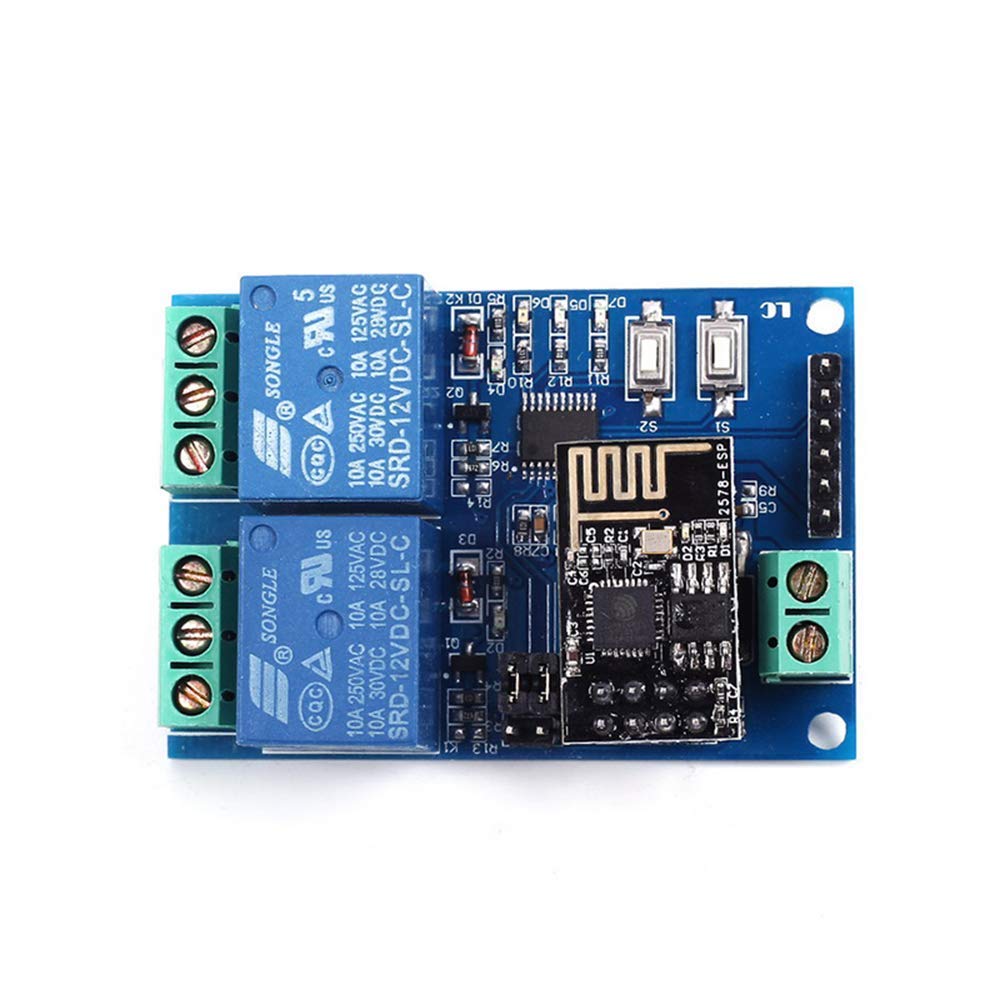 DollaTek 12V 2-Channel WiFi Relay Module