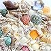 Fantastic Set of 90 Assorted Natural Sea Shells Beach Ocean