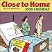 Close to Home: 2008 Day-to-Day Calendar by