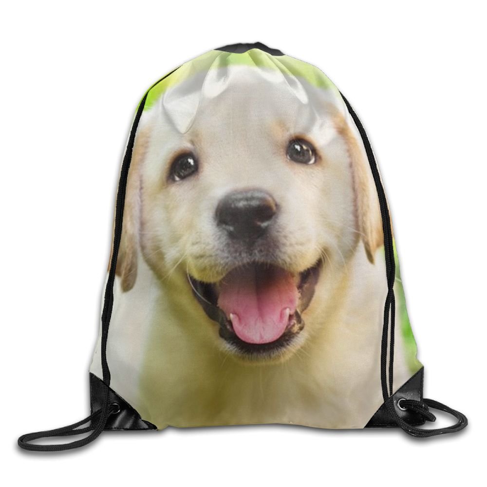 golden retriever backpack
