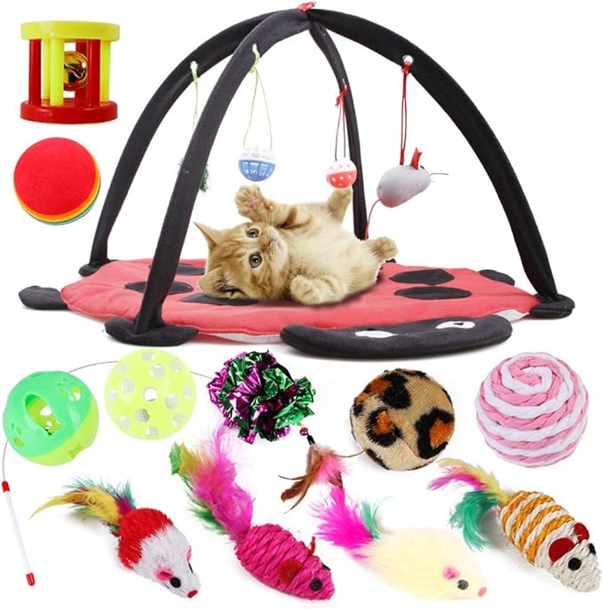 boxoon 13PCS Cat Activity Toys Set Funny Cat Hanging Tent Cat