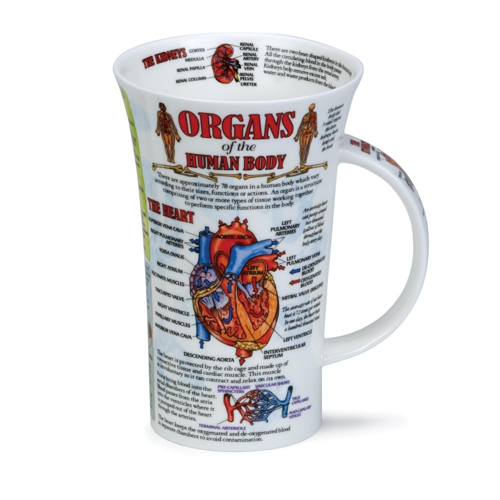 Dunoon Glencoe Biology Mug (Organs)