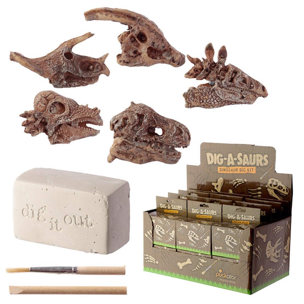 Puckator DIG49 Rawr Dinosaur Skull Fossil Dig-A-Saurs Dig it Out Kit