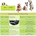 KOLAMAMA Bark Collar, 2018 Dog No Shock Bark Collar with Visual Adjustable Gear Anti Bark Control Devices for Small Medium Large Dogs 5-160lbs No Bark Collar Waterproof Shock Dog Collar