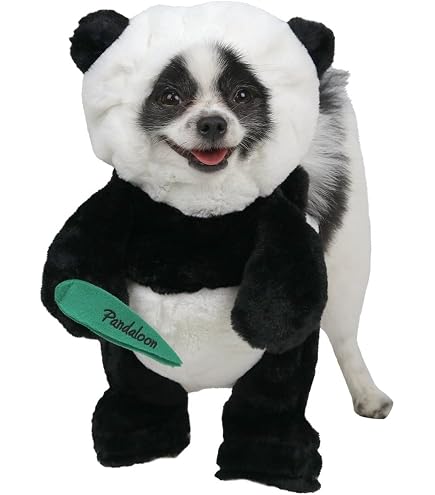 Old Lady Dog Costume Set - Grandma Hat, Glasses & Strap For Halloween, Cosplay For Small To Large Dogs