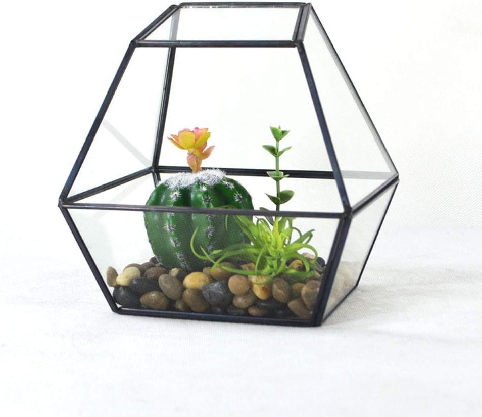 Terrariums Square Modern Artistic Clear Geometric Glass