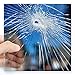 CafePress - Broken Glass - Square Sticker 3 - Square Bumper Sticker Car Decal, 3