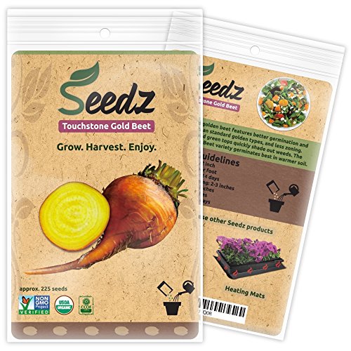 CERTIFIED ORGANIC SEEDS (Appr. 225) - Touchstone Gold Beet - Golden Beet Seeds, Open Pollinated - Non GMO, Non Hybrid Vegetable Seeds - USA CERTIFIED ORGANIC SEEDS (Appr. 225) - Touchstone Gold Beet - Golden Beet Seeds, Open Pollinated - Non GMO, Non Hybrid Vegetable Seeds - USA