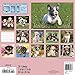 Puppies 2017 Calendar: Includes Downloadable Wallpaper