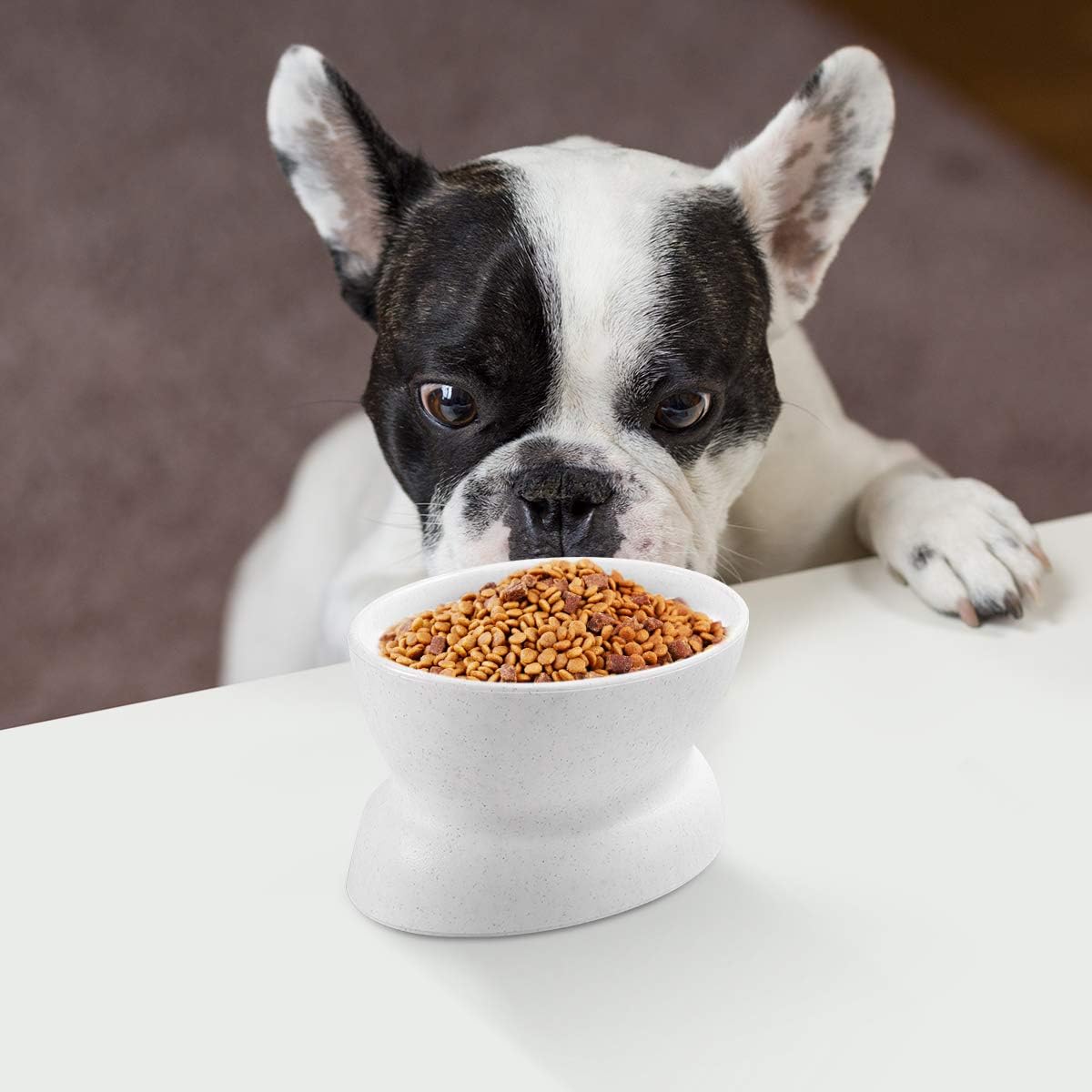 POPETPOP Raised Cat Bowl Elevated Pet Food Water Bowl Non-Slip Small Pet Bowl Cat Feeding Bowls, Silver - Image 3