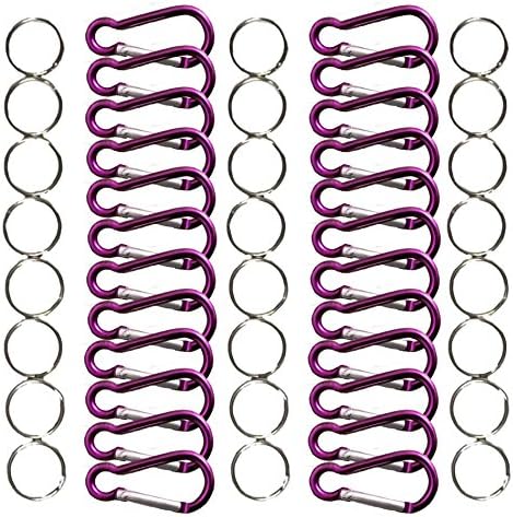 Talisman Gear 24 Pack Small Lightweight Aluminum Carabiner Clips for Keychains, Backpacks, Kids, RV, Camping, Fishing, Travel, Home, Organization, Hobby (Purple)