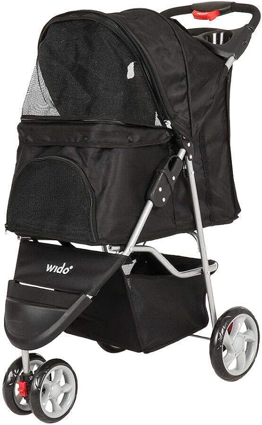 when do female kittens go into heat