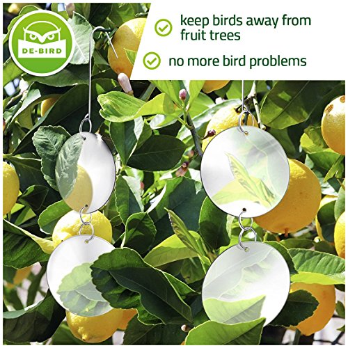 How To Scare Birds Away From Fruit Trees netting around peach tree to