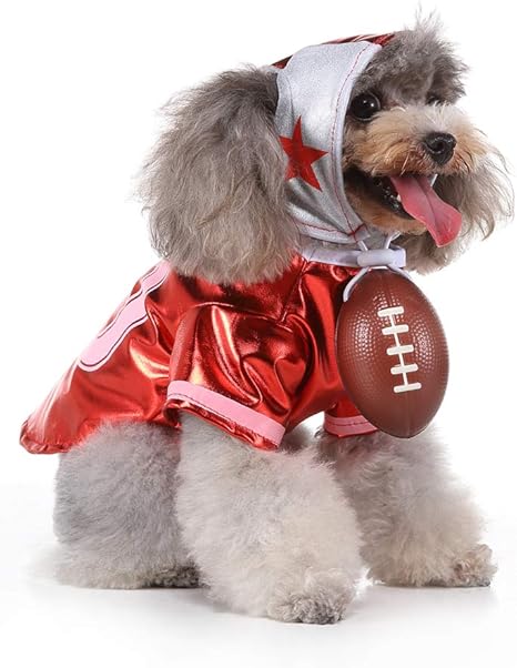 vêtements pour chien petite taille