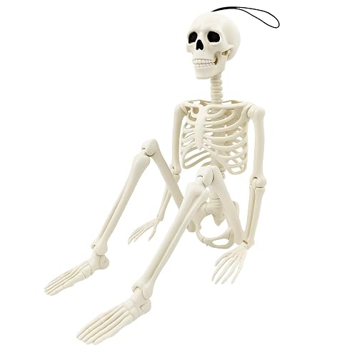 Home-X 1pcs Halloween Posable Skeleton, 40cm/15.6in Hanging Realistic Full-Body Movable Joints Human Skeleton Bones for Halloween Props, Spooky Graveyard Decorations, Haunted House Accessories