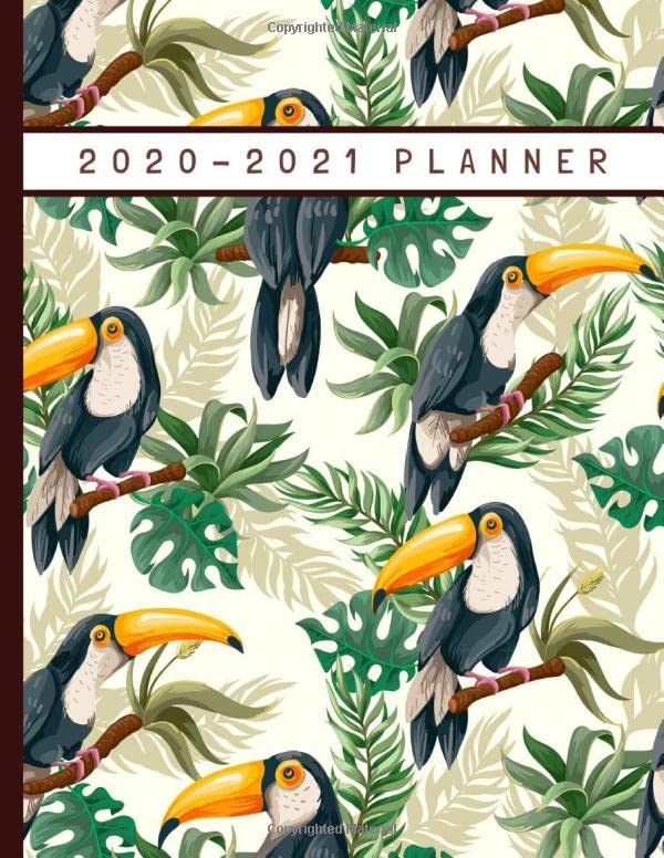 2020-2021 Planner: Toucans - Weekly Monthly Calendar Planner - UK Bank Holidays - Academic Schedule Agenda Logbook - Student - Worker - Aug 2020 to Aug 2021