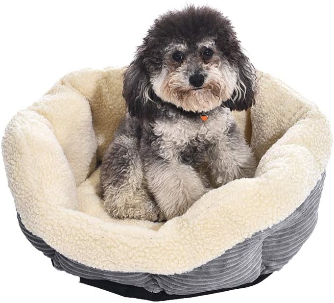 Basics Round Self Warming Pet Bed For Cat or Dog, 18 x 8 Inches : Pet Supplies