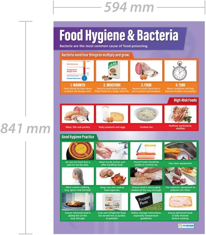 Daydream Education Food Hygiene & Bacteria, Laminated, 85L x 59.4W cm - Image 3