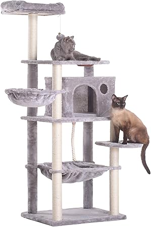 cat climbing tree amazon