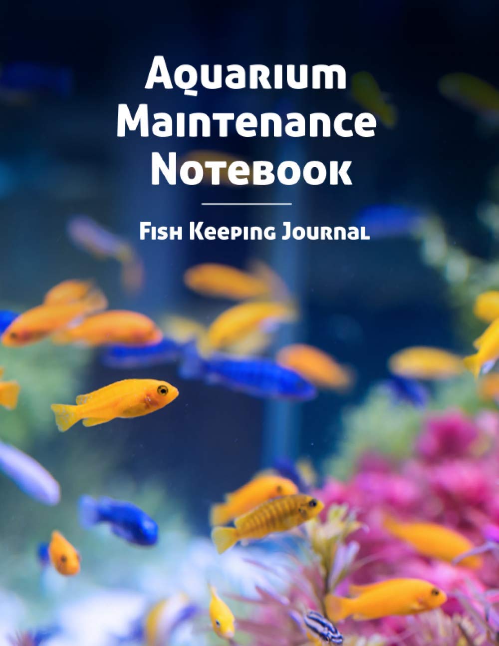 aquarium fish maintenance