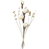 abiducns Reed Diffuser Sticks,Reed Diffuser Sticks Flowers,Reed Diffusers for Home,Bathroom Diffuser,Diffuser Set with Sticks,Natural Flower,White/Brown