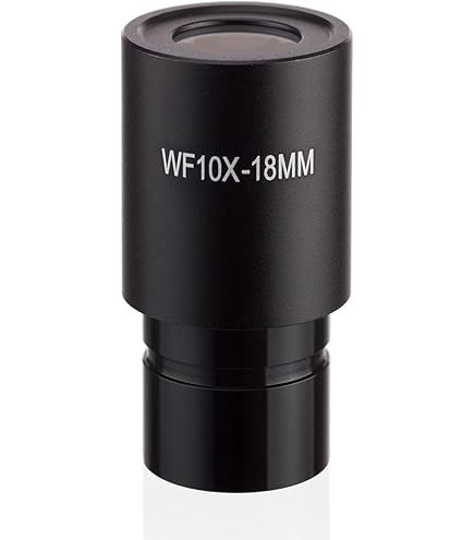 Amazon.com: AmScope EP10X23P WF10X Microscope Eyepiece with