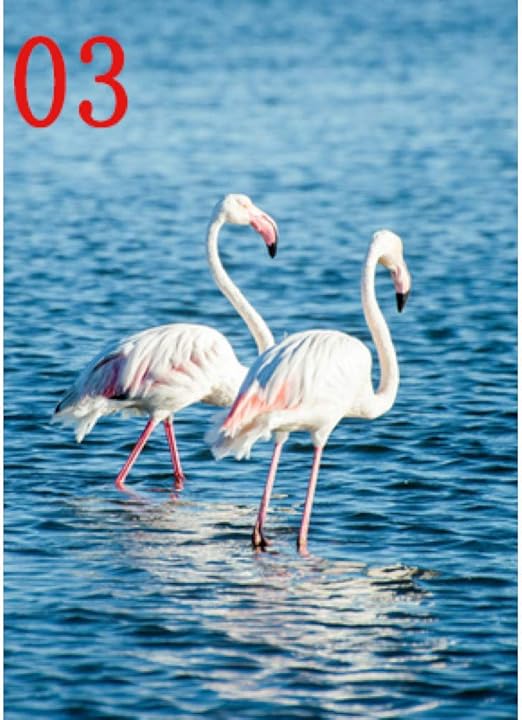 Jiyyt Dekorative Malerei Moderne Drucke Blattweiss Strandhaus Meer