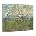 Wieco Art Orchard with Blossoming Apricot Trees Giclee Canvas Prints Wall Art of Van Gogh Famous Oil Paintings Reproduction Modern Classic Flowers Landscape Pictures Artwork for Home Decoration