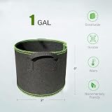 Ayvicco 5-Pack 1 Gallon Heavy Duty Nonwoven Aeration Fabric Pots view 2