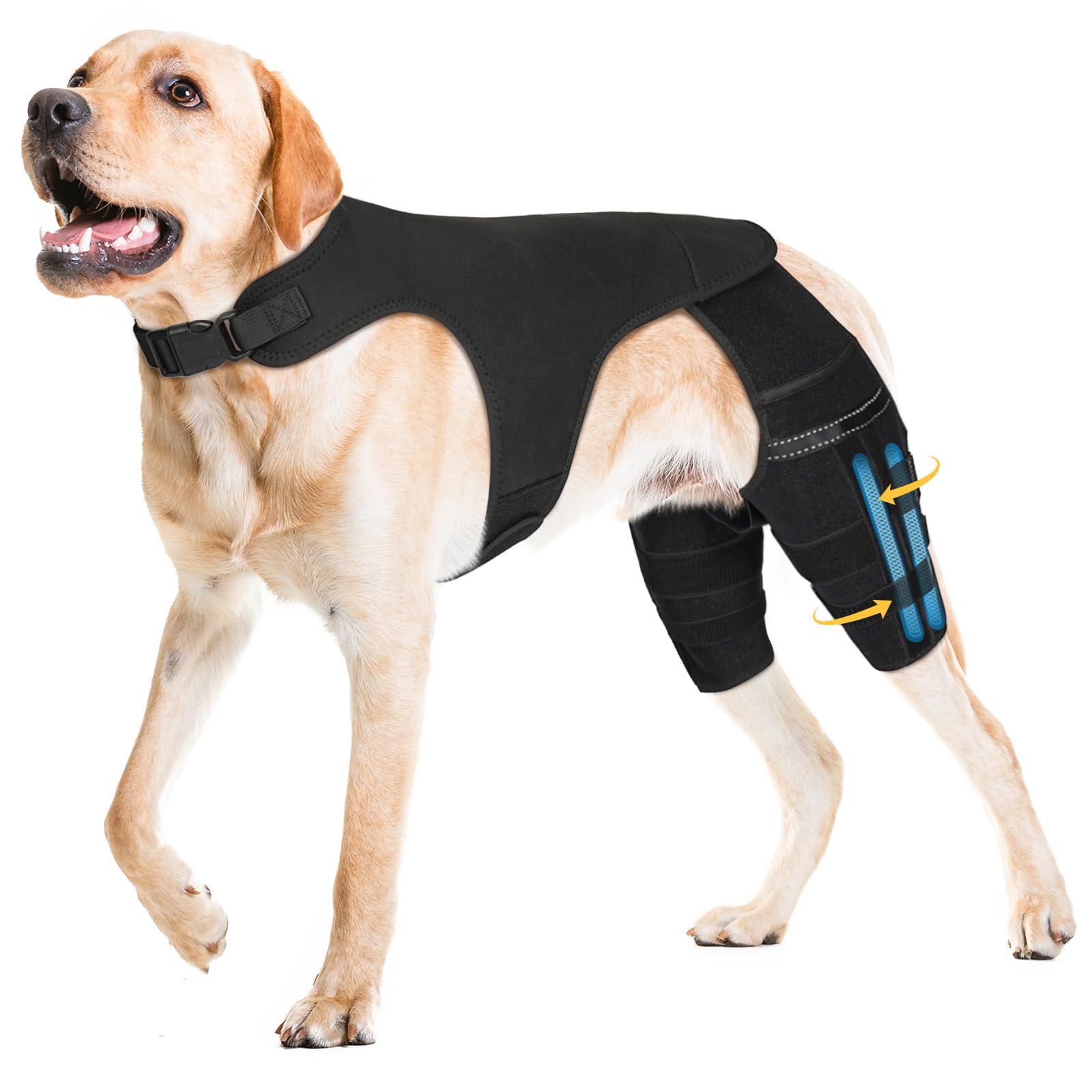 Photo 1 of Marnonsis Dog Knee Brace for Torn Acl Hind Leg, 4 Stabilizers Dog Leg Braces for Back Leg, Adjustable Hip Support to Reduces Pain, Ligament Injuries, Luxating Patella, 2XL