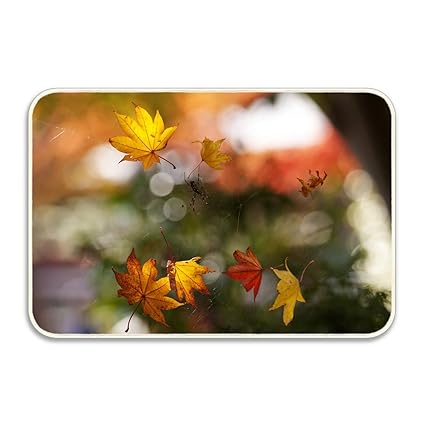 Amazon Com Niaocpwy Custom Home Macro Autumn Web Spider Leaves