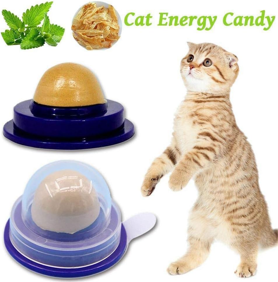 cat treat sugar ball