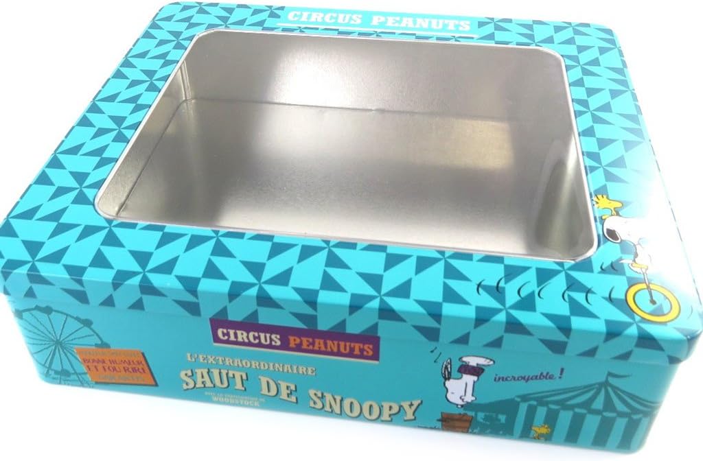 Caja metálica Snoopyturquesa - 25x21.5x7 cm.: Amazon.es: Hogar