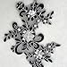 1 Pair Fine Lace Fabric Patches Embroidered Trim Applique Decor Dress Decoration (Black +Silver)