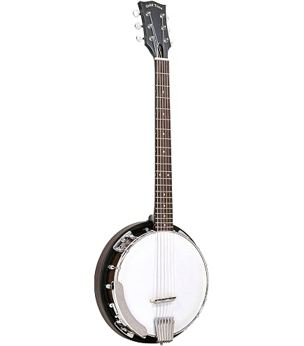 Amazon.com: Gold Tone GT-750 Banjitar Deluxe Banjo (Six String