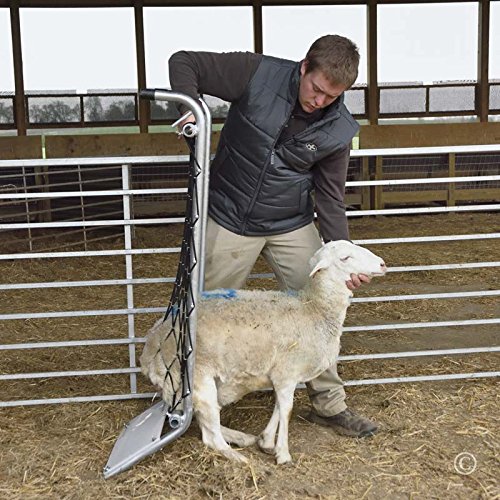 Premier Deck Chair For Sheep