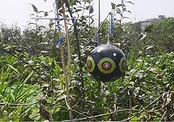 keesoon -Bird repelling Balloon，Woodpecker