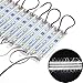 ChiChinLighting 20 Piece Pack - 12 Volt LED Module - SMD LED Chip – 6000k Daylight Pure White Cool White - Super Bright – IP65 Waterproof