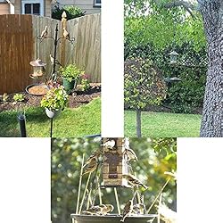 Pmsanzay Bird Seed Catcher Tray Platform Feeder