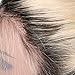 Lace Front Wig 1B/613 Pre Plucked 180% Density Ombre Bob Human Hair Wigs 10 Inch Glueless Short 1B Ombre Bob Hairstyles 13×4 Middle Part Bleached Knots