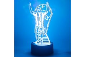 EXIGENT 3D LED Light Argentina Soccer Lamp Acrylic Illusion Night Flashing Cool (SoccerLamp_WC)