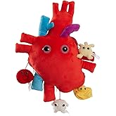 GIANT MICROBES Deluxe 15" Heart Plush, Blood Cells Stuffed Animal, Organ Transplant & Anatomical Heart Gifts, Cardiology Gifts, Valentines Plushies